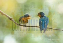 Three Effective Communication Methods