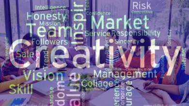 Creativity is a practical result of balancing the diversity