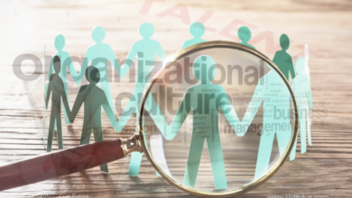 Develop Recruitment Strategies That Foster A Strong Organizational Culture To Attract Top Talent